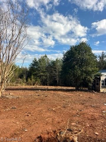 1506 McDaniel Road Pilot Mountain, NC 27041 - Photo 5 of 19