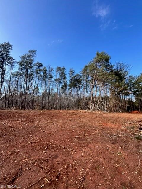 1506 McDaniel Road Pilot Mountain, NC 27041 - Photo 6 of 19