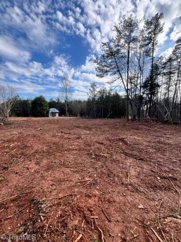 1506 McDaniel Road Pilot Mountain, NC 27041 - Photo 7 of 19