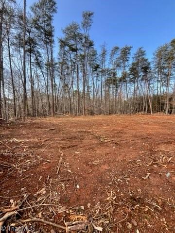 1506 McDaniel Road Pilot Mountain, NC 27041 - Photo 8 of 19