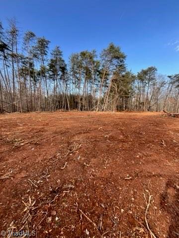 1506 McDaniel Road Pilot Mountain, NC 27041 - Photo 9 of 19