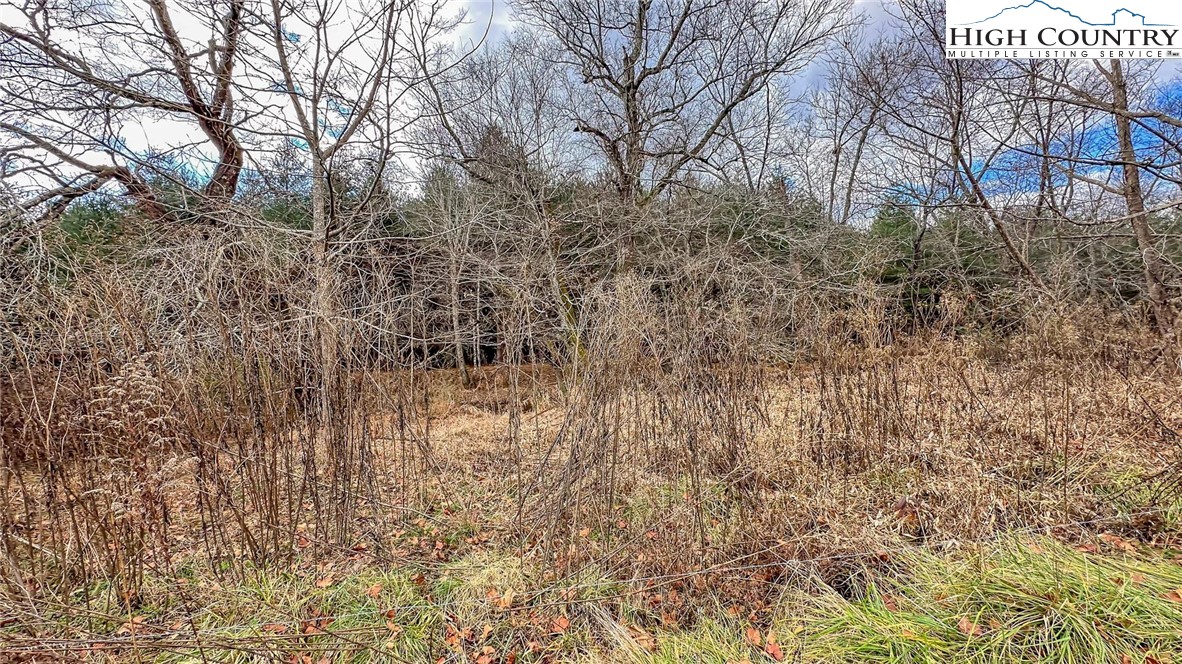 1761 Parsonville Road Purlear, NC 28665 - Photo 19 of 24 a view of a yard