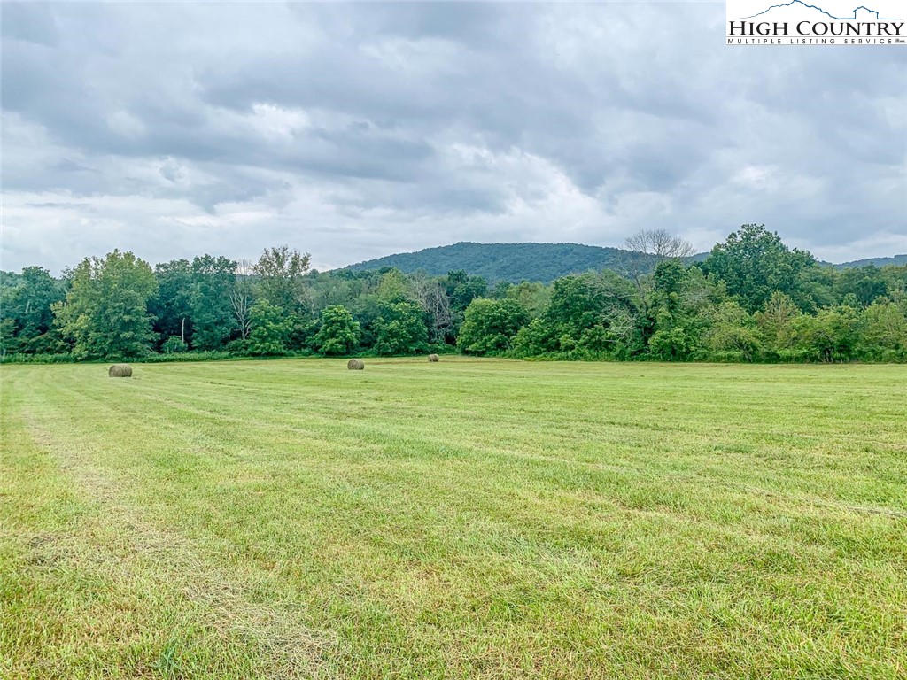 1761 Parsonville Road Purlear, NC 28665 - Photo 24 of 24 a view of a field with an ocean