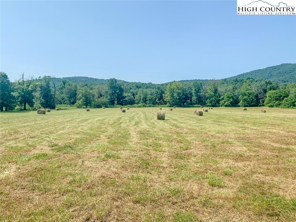 1761 Parsonville Road Purlear, NC 28665 - Photo 3 of 24 a view of outdoor space with trees