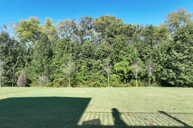 $4,950 | 1038 Amelia Park Drive, Franklin, TN 37067