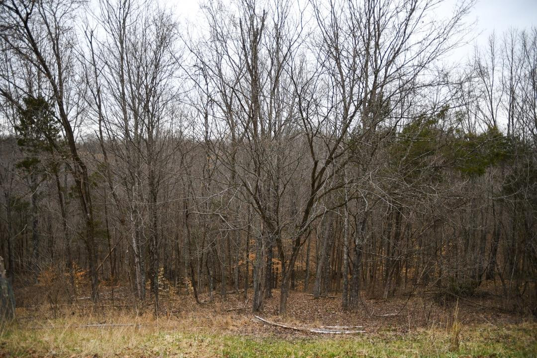 1511 Corinth Road Lawrenceburg, KY 40342 - Photo 33 of 33 Photo 33