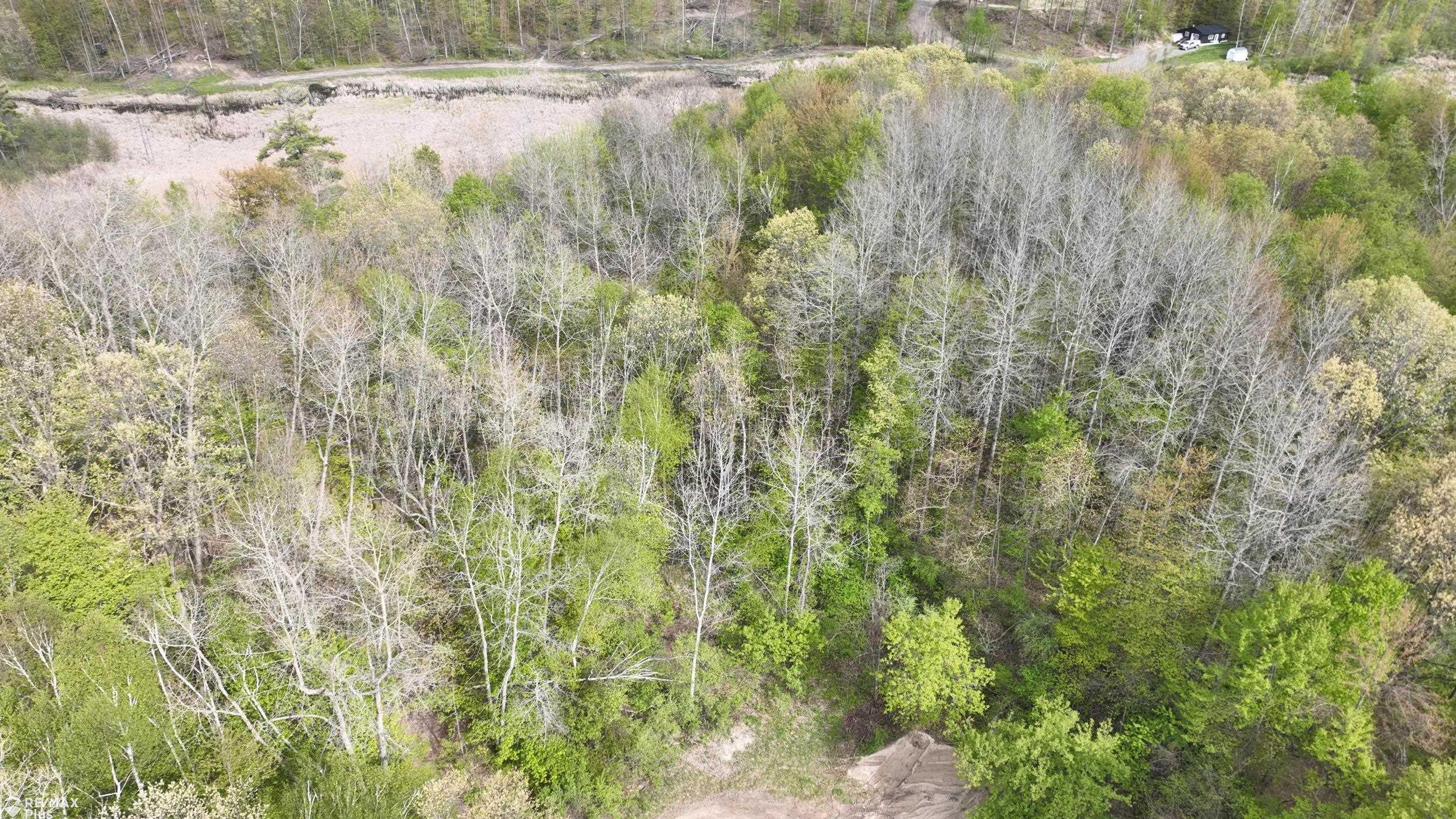 0 Miller Lake Road Columbiaville, MI 48421 - Photo 33 of 33