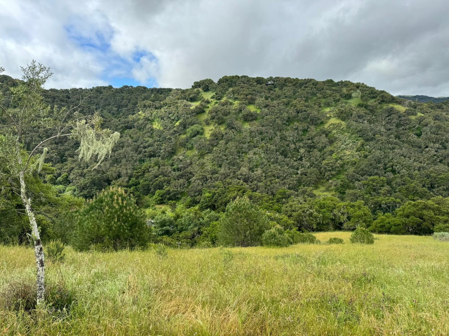 451 Corral De Tierra Road Salinas, CA 93908 - Photo 48 of 55 a view of a yard
