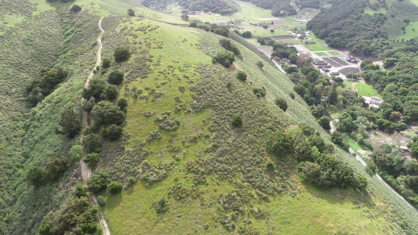 451 Corral De Tierra Road Salinas, CA 93908 - Photo 52 of 55 a view of a forest with a lush green forest
