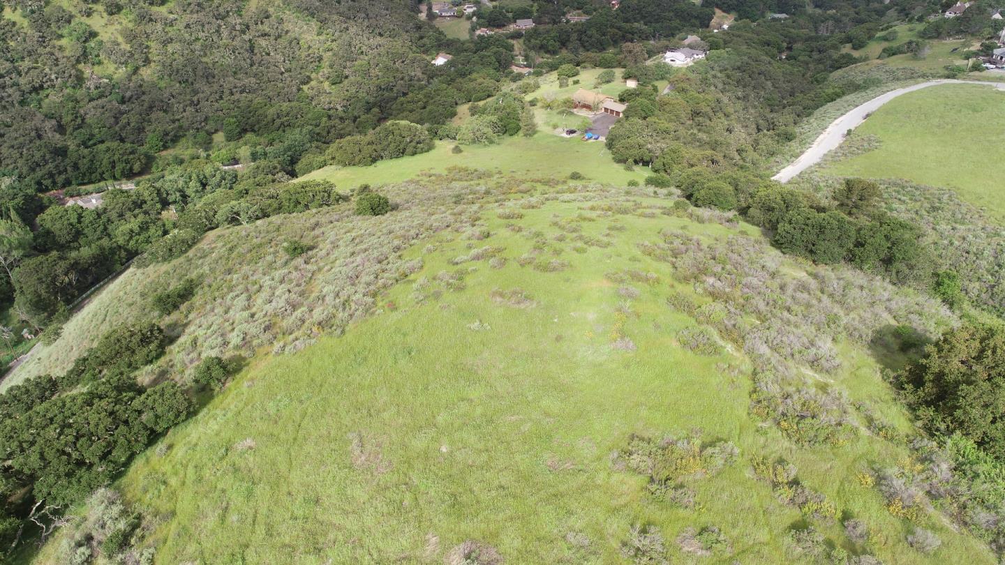 451 Corral De Tierra Road Salinas, CA 93908 - Photo 53 of 55 a view of a yard with plants and large trees