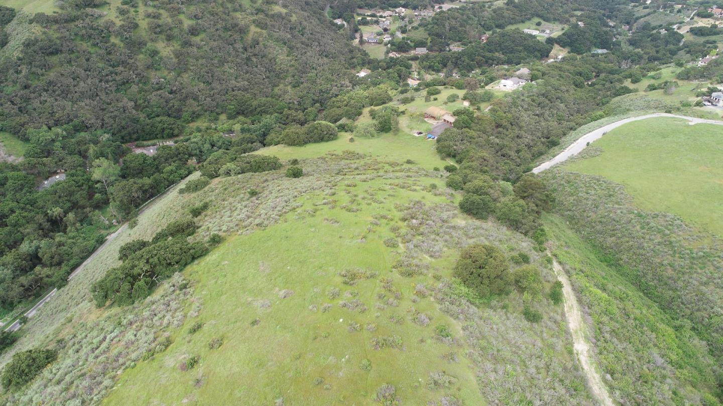 451 Corral De Tierra Road Salinas, CA 93908 - Photo 55 of 55 a view of a yard with a tree