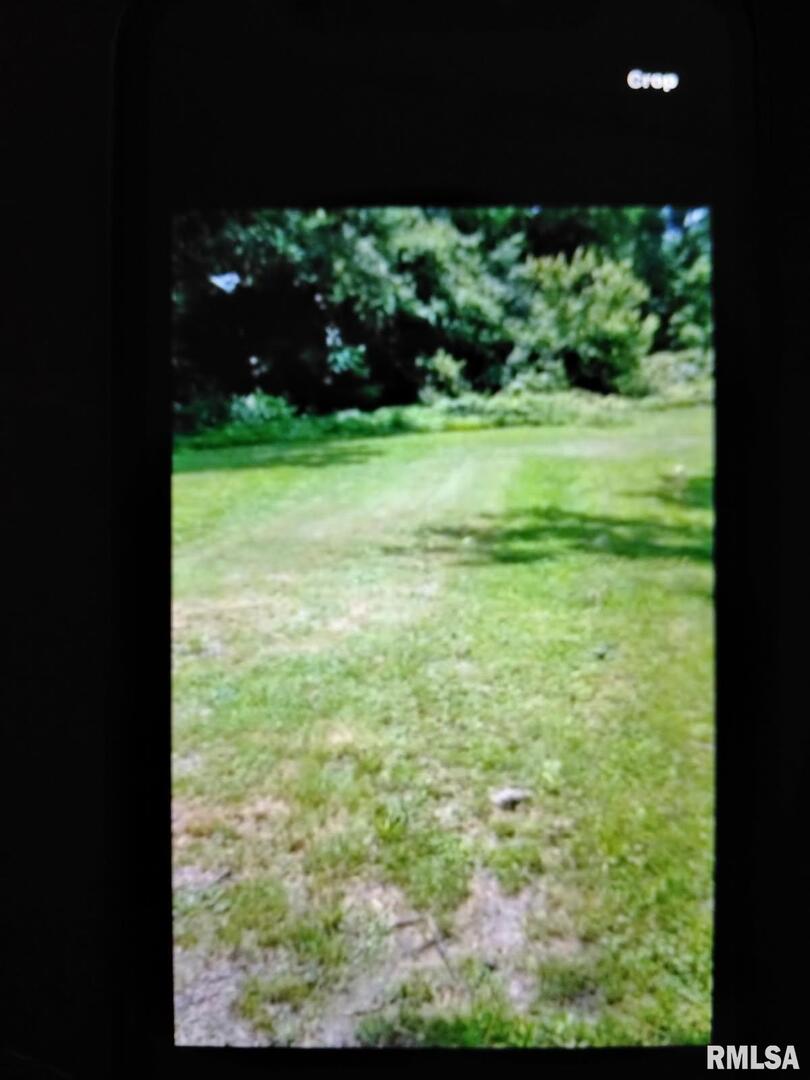 1600 Mahoney Street Eldorado, IL 62930 - Photo 2 of 3 a view of a garden from a room