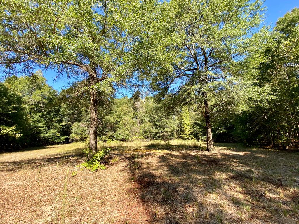 0 Clubhouse Road Coleman, GA 39836 - Photo 33 of 33 Gallery Image 33