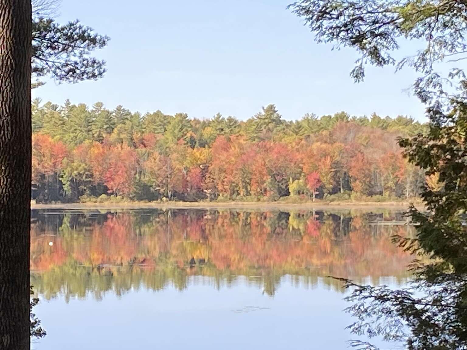 225 Torsey Shores Road Readfield, ME 04355 - Photo 24 of 25 Nievaard.24