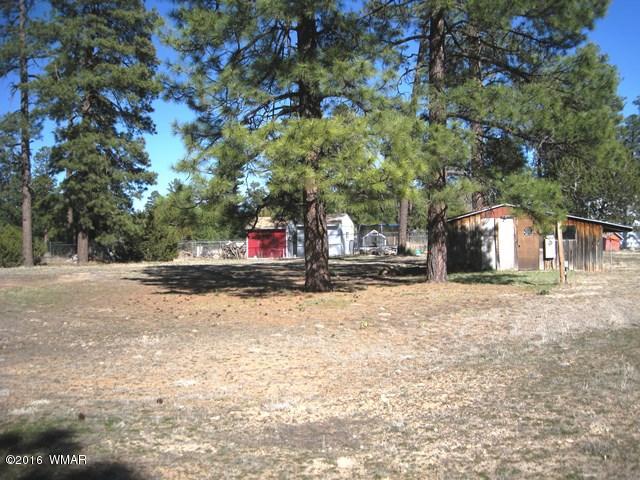 2015 Sunset Trail Overgaard, AZ 85933 - Photo 1 of 13