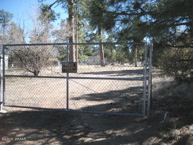 2015 Sunset Trail Overgaard, AZ 85933 - Photo 11 of 13