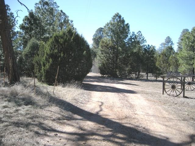 2015 Sunset Trail Overgaard, AZ 85933 - Photo 13 of 13