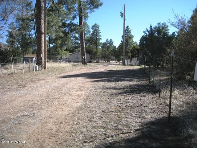 2015 Sunset Trail Overgaard, AZ 85933 - Photo 2 of 13