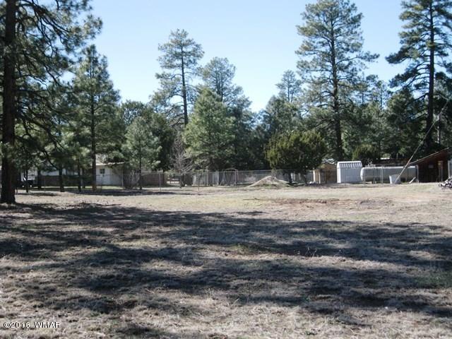 2015 Sunset Trail Overgaard, AZ 85933 - Photo 3 of 13