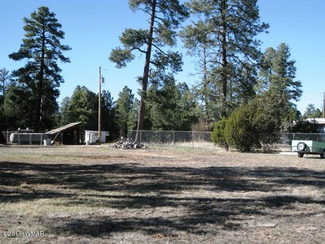 2015 Sunset Trail Overgaard, AZ 85933 - Photo 5 of 13