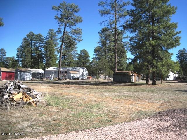 2015 Sunset Trail Overgaard, AZ 85933 - Photo 6 of 13