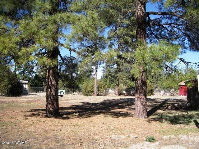 2015 Sunset Trail Overgaard, AZ 85933 - Photo 7 of 13