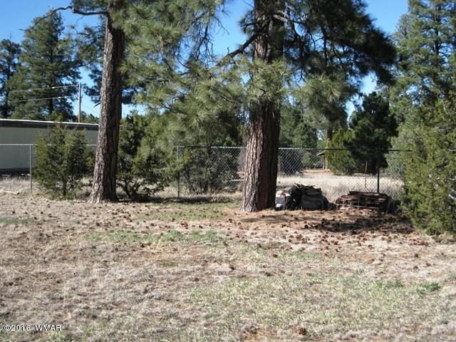 2015 Sunset Trail Overgaard, AZ 85933 - Photo 9 of 13