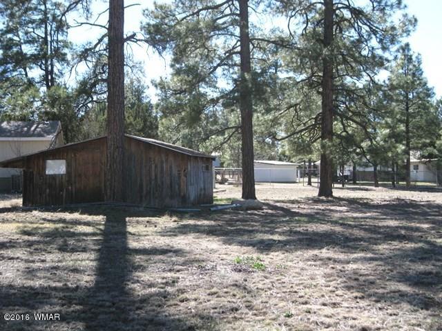 2015 Sunset Trail Overgaard, AZ 85933 - Photo 10 of 13