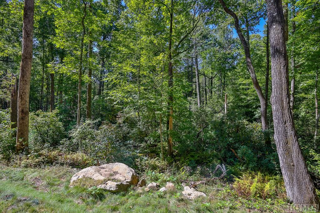 Lot 86 Flagstone Road Sapphire, NC 28774 - Photo 25 of 45 Gallery Image 25