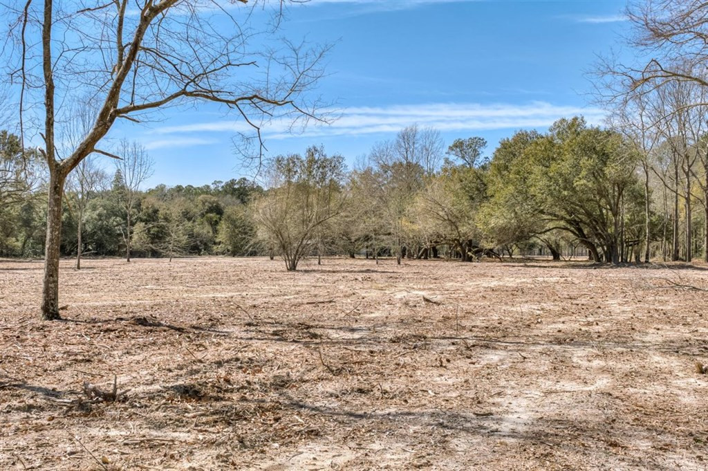 273 Redds Branch Road Aiken, SC 29801 - Photo 43 of 52