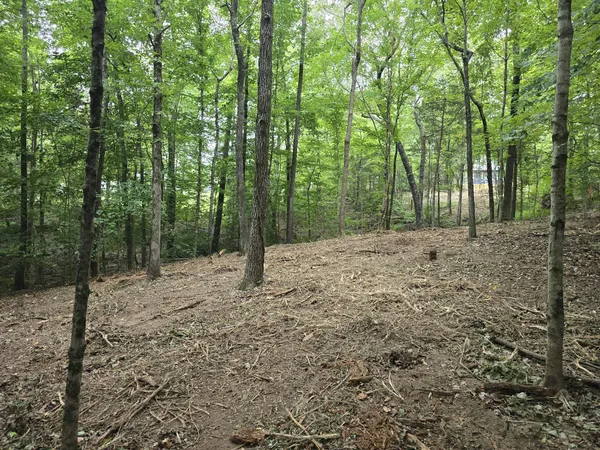a wooden fence with trees in the background