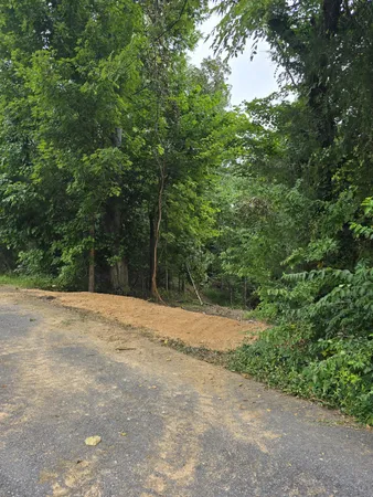 $19,500 | 0 Cedar Hill Drive, Waverly, TN 37185