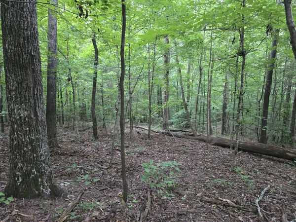 $19,500 | 0 Cedar Hill Drive, Waverly, TN 37185