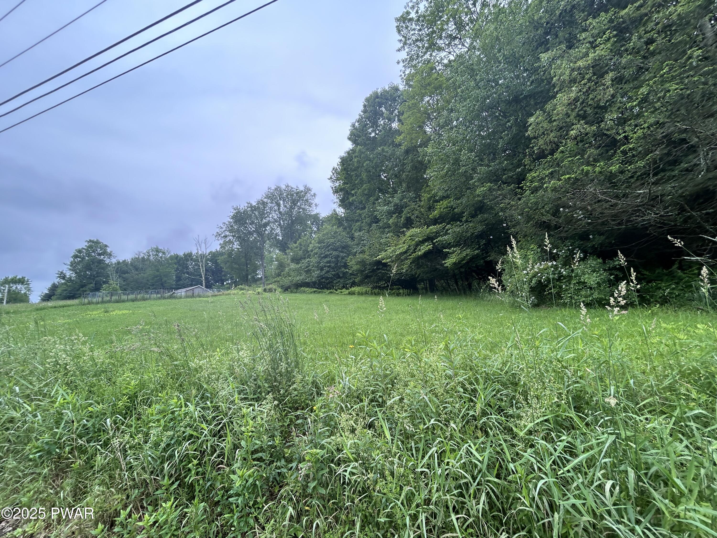 Conklin Hill Road Damascus, PA 18415 - Photo 5 of 7