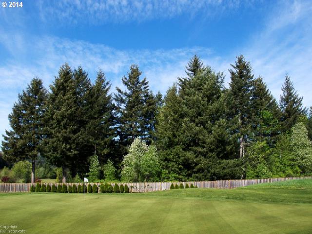 Smith Beckon Carson, WA 98610 - Photo 1 of 11 Gallery Image 1