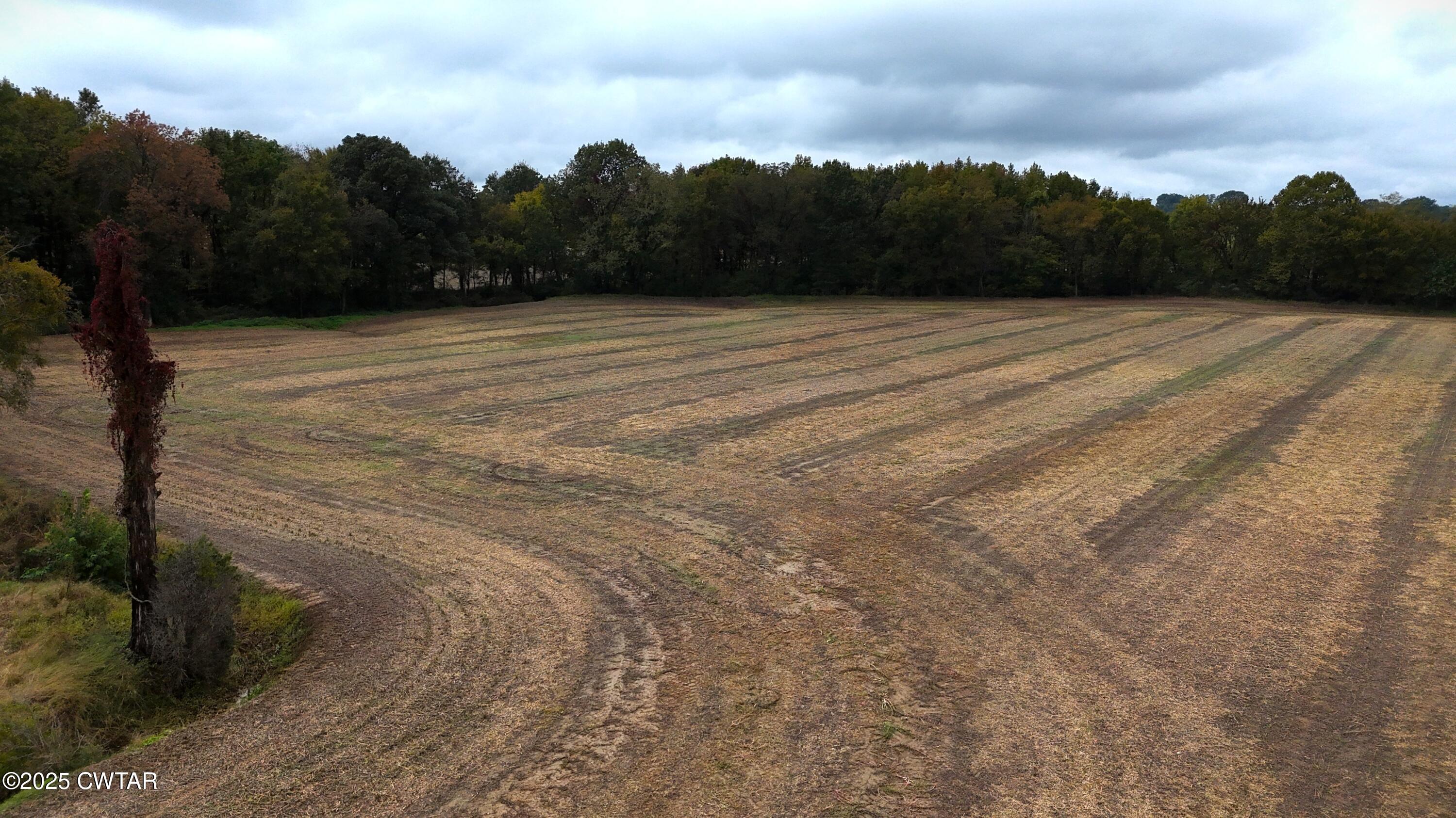 0 Lot Road Alamo, TN 38001 - Photo 11 of 18 a view of basketball court