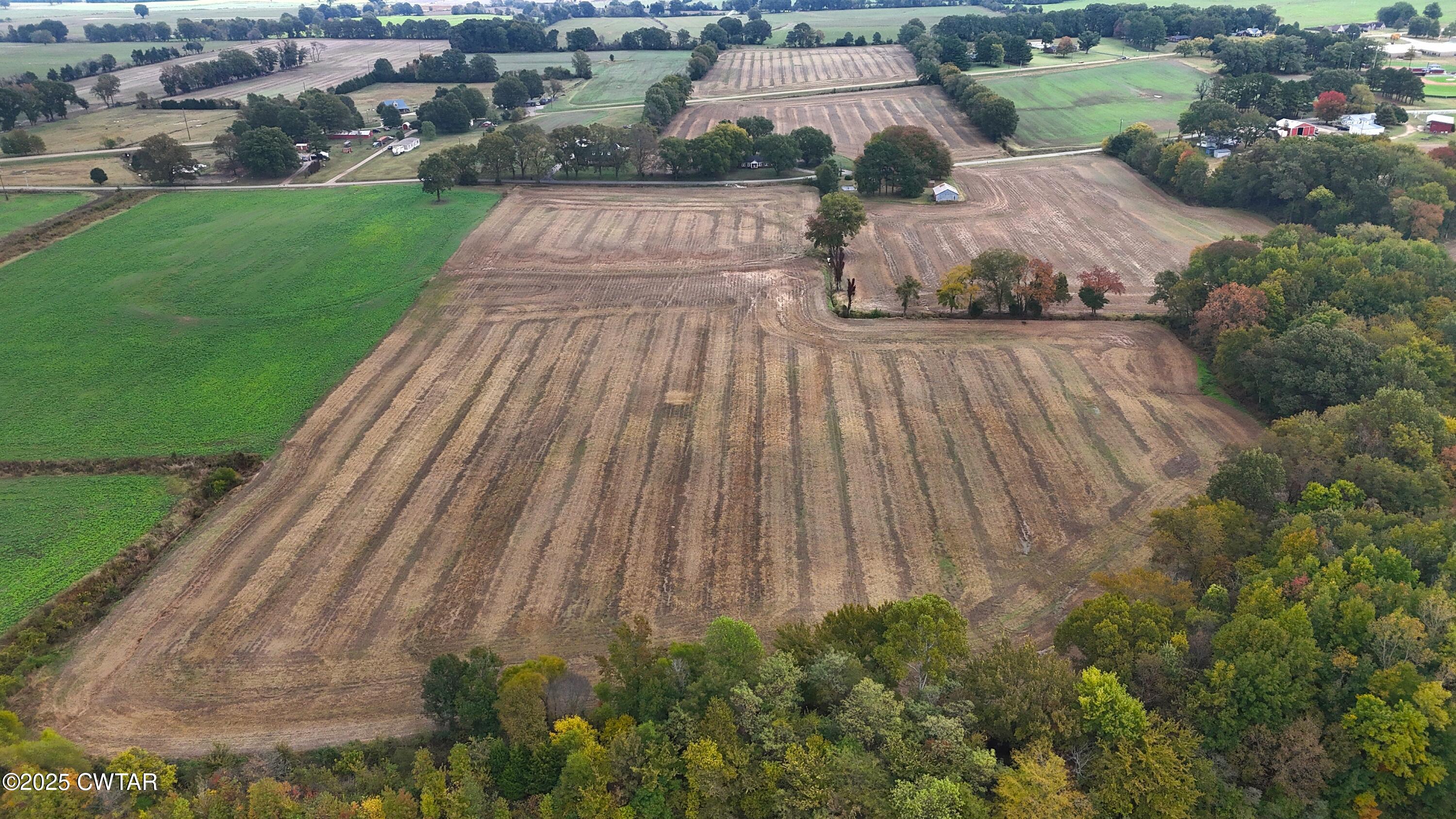 0 Lot Road Alamo, TN 38001 - Photo 12 of 18 a view of a yard with plants and large trees