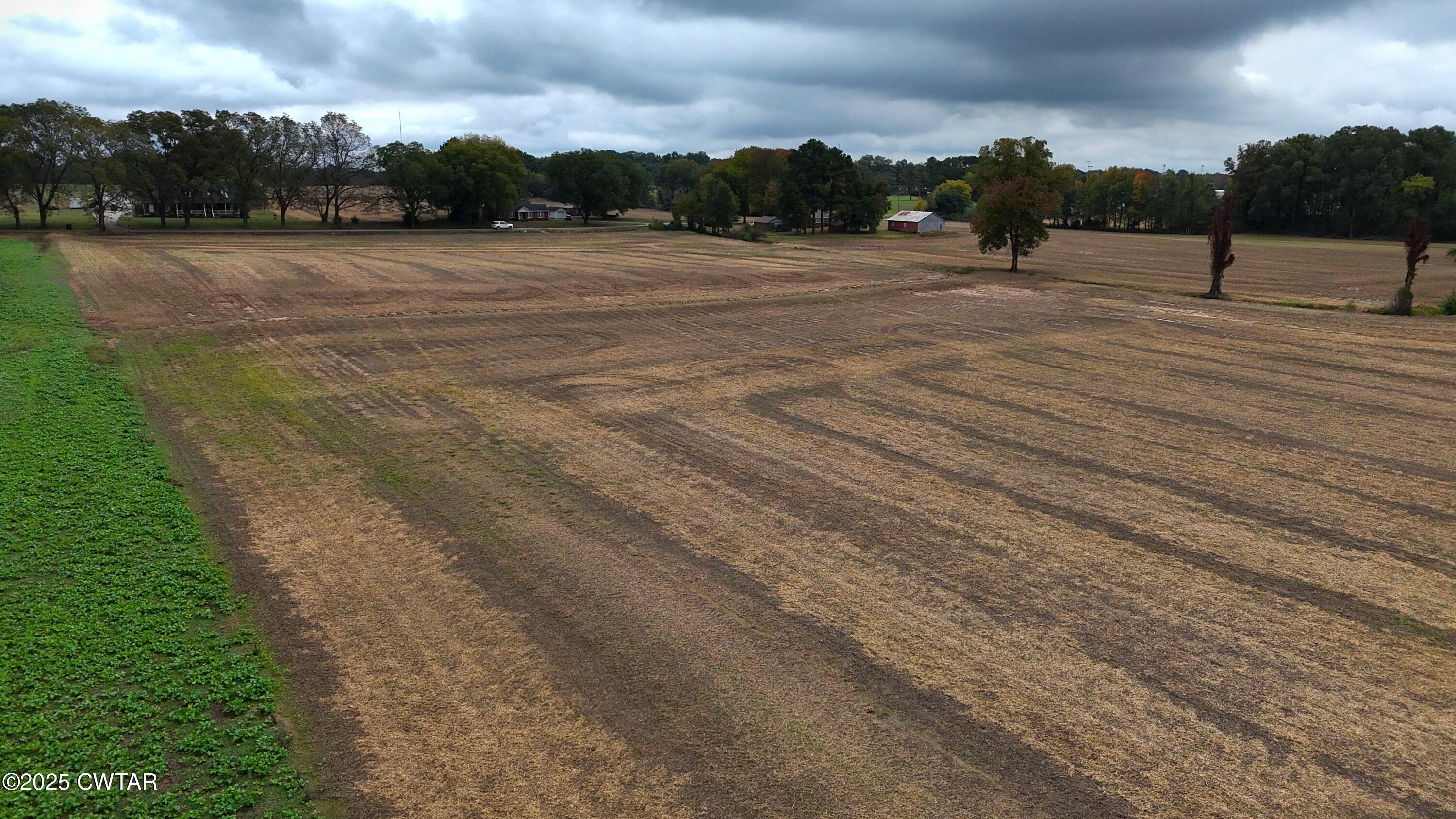 0 Lot Road Alamo, TN 38001 - Photo 17 of 18 a view of a terrace