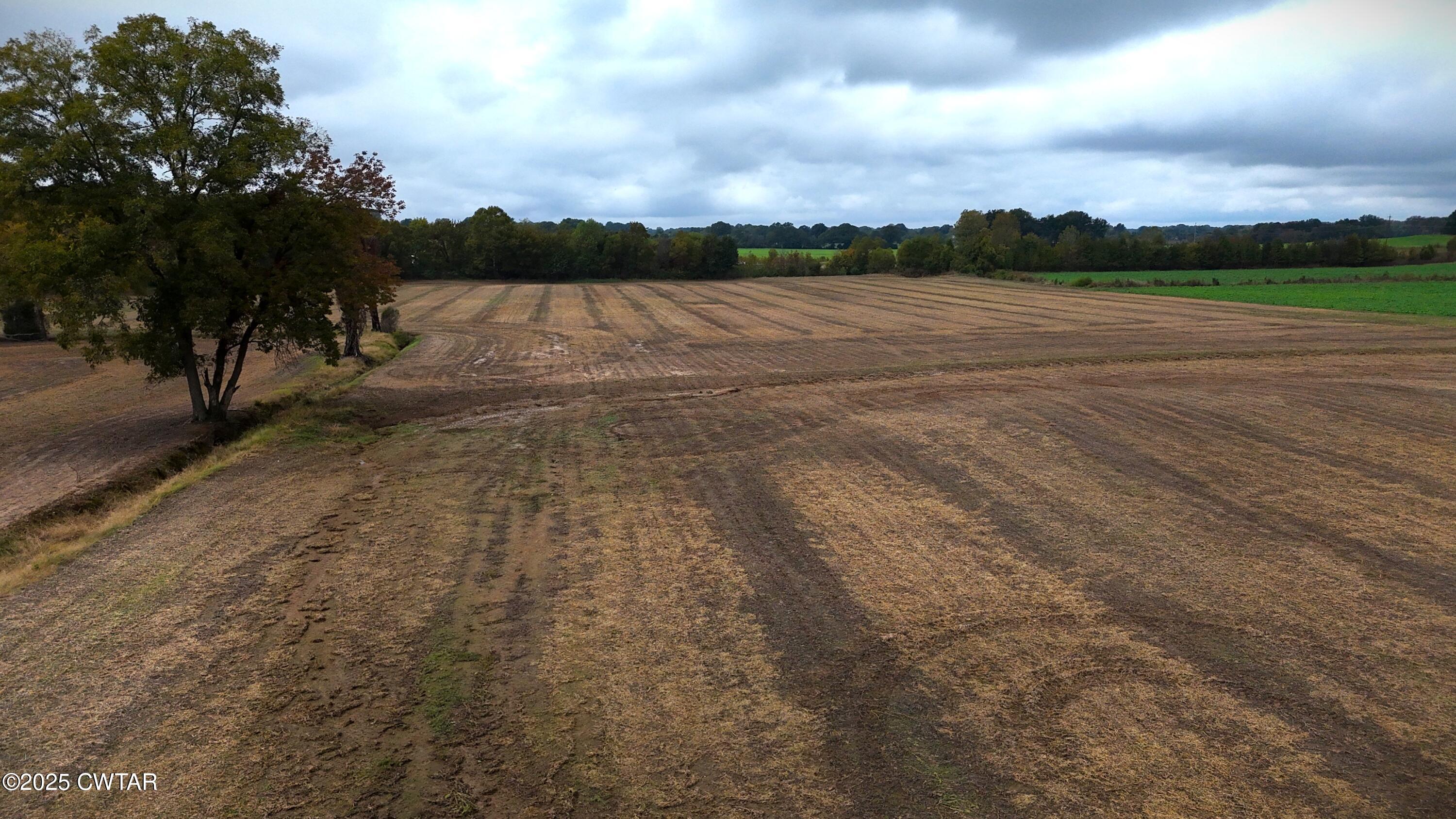 0 Lot Road Alamo, TN 38001 - Photo 3 of 18 a view of an lake and a mountain