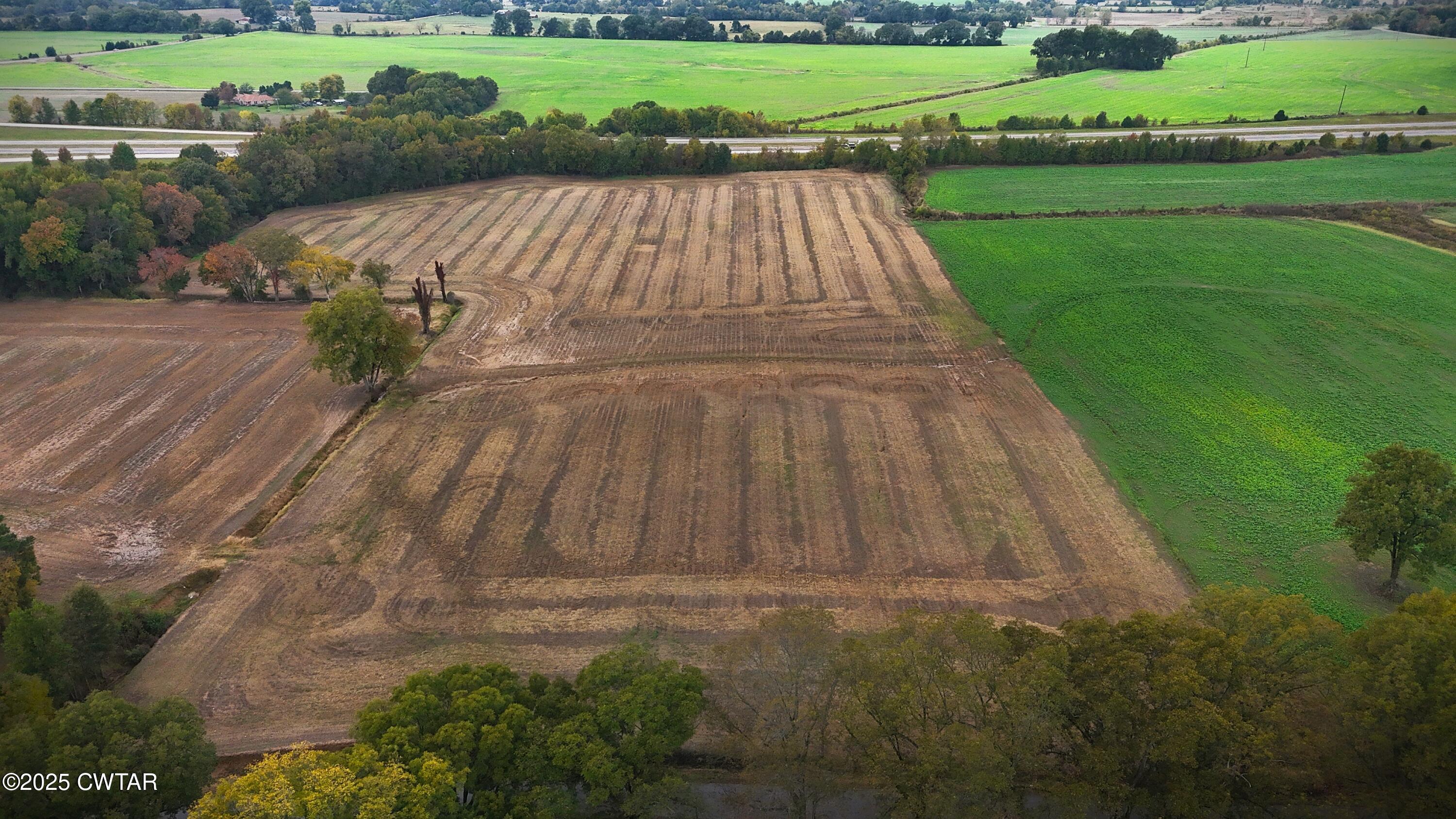 0 Lot Road Alamo, TN 38001 - Photo 5 of 18 a view of outdoor space with garden