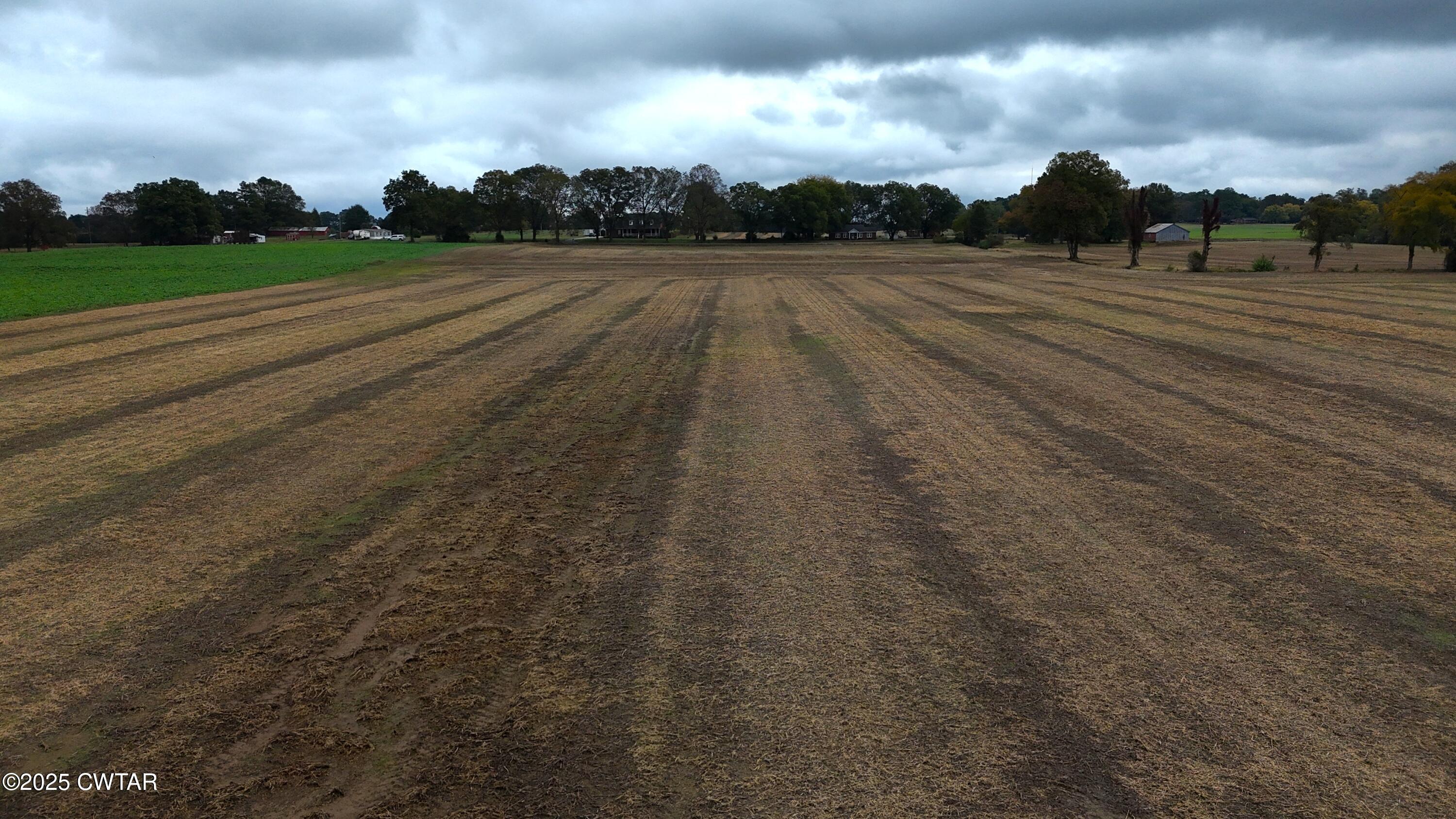 0 Lot Road Alamo, TN 38001 - Photo 10 of 18 a view of a city street
