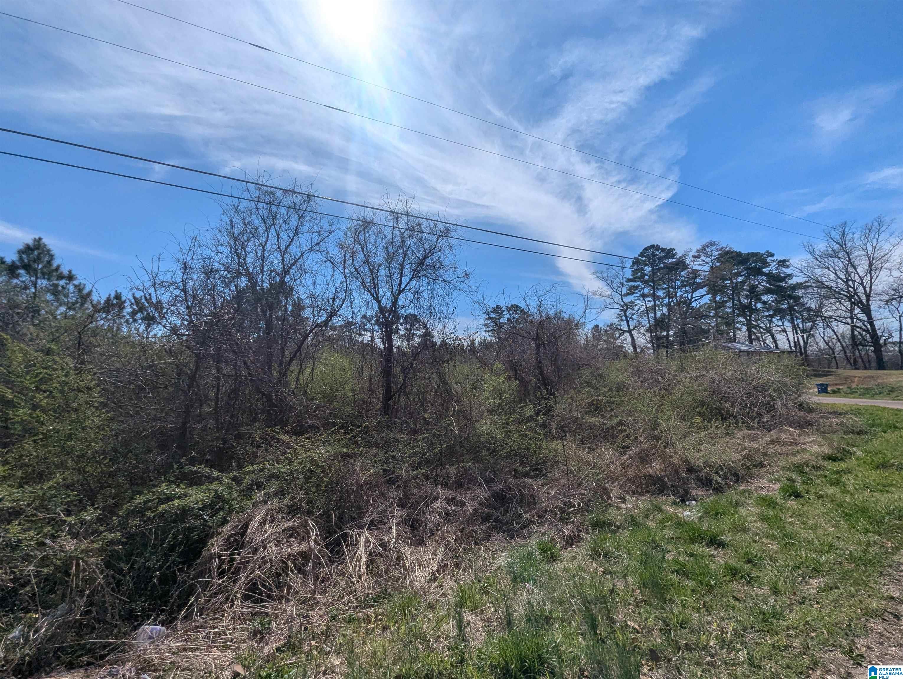 0 Spiral Street, Unit 2 Anniston, AL 36201 - Photo 10 of 15
