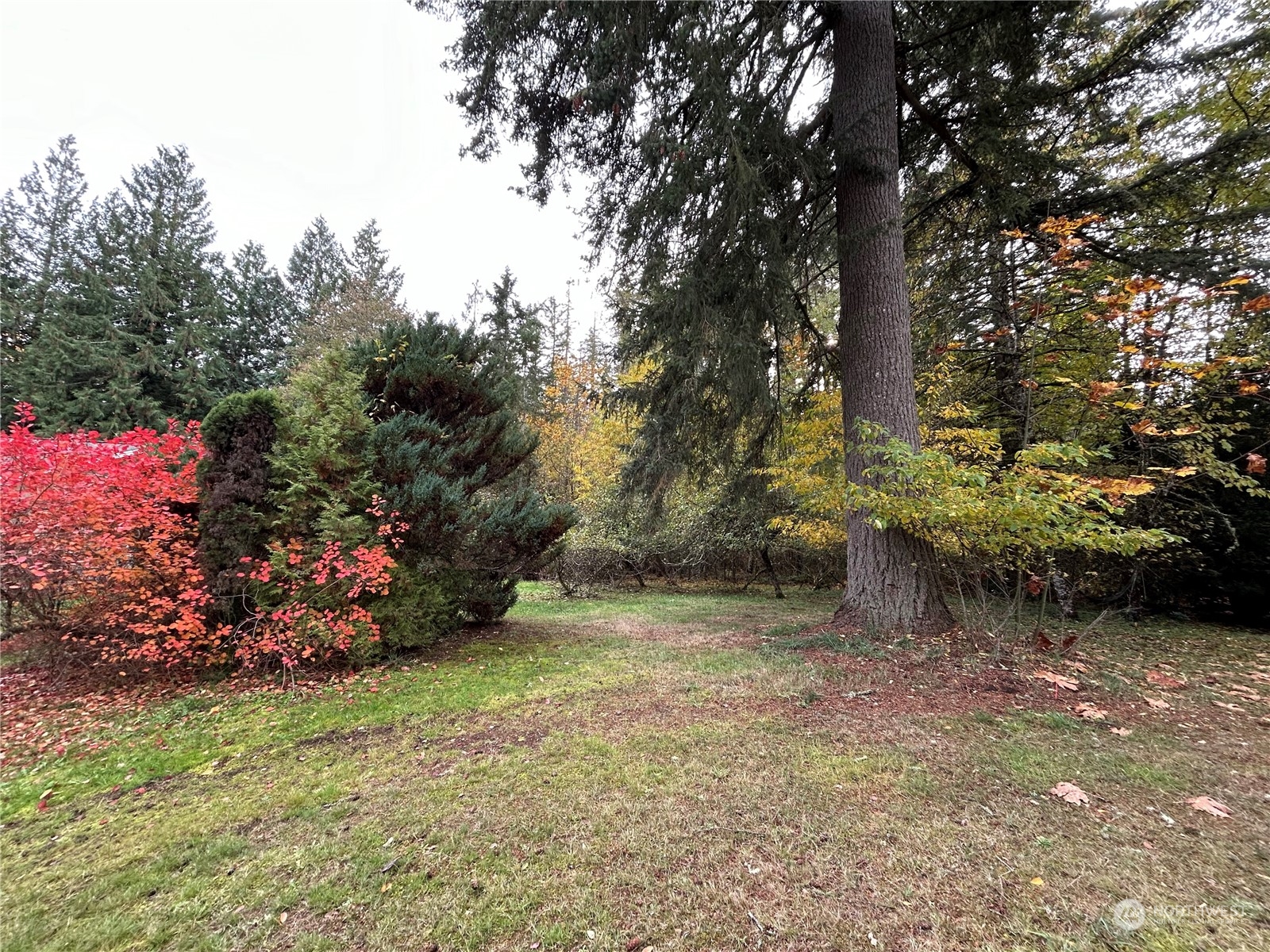 1161 Northwest Liberty Road Poulsbo, WA 98370 - Photo 24 of 30 Gallery Image 24