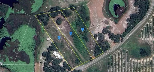 a view of a palm tree from balcony