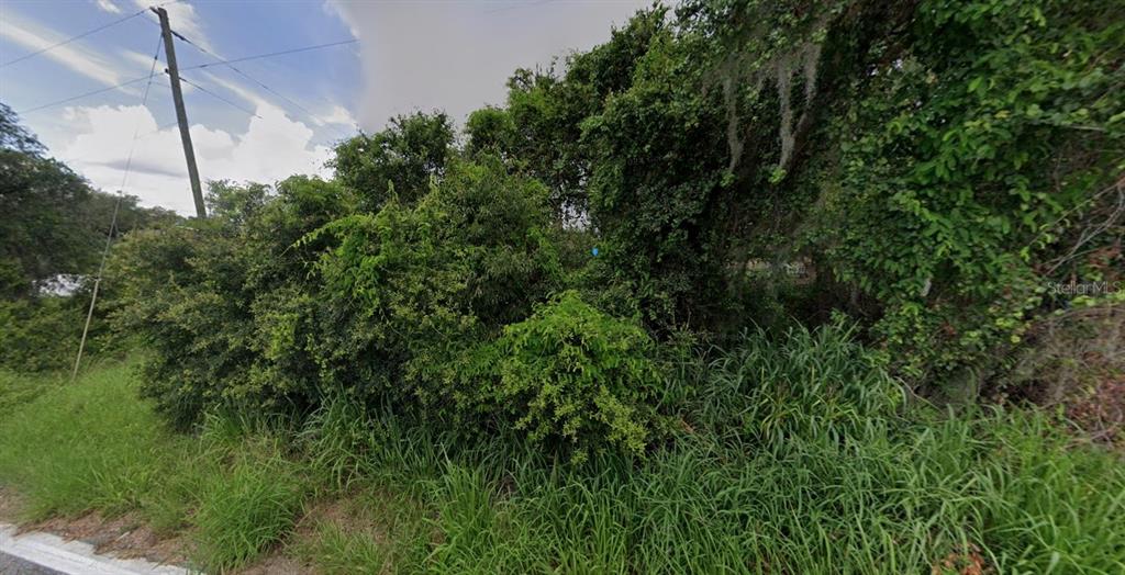 1800 Aldo Road Babson Park, FL 33827 - Photo 3 of 6 a view of a lush green forest