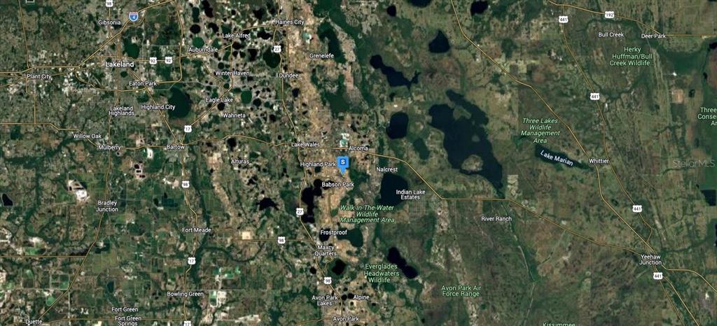 1800 Aldo Road Babson Park, FL 33827 - Photo 5 of 6 a view of a lush green forest