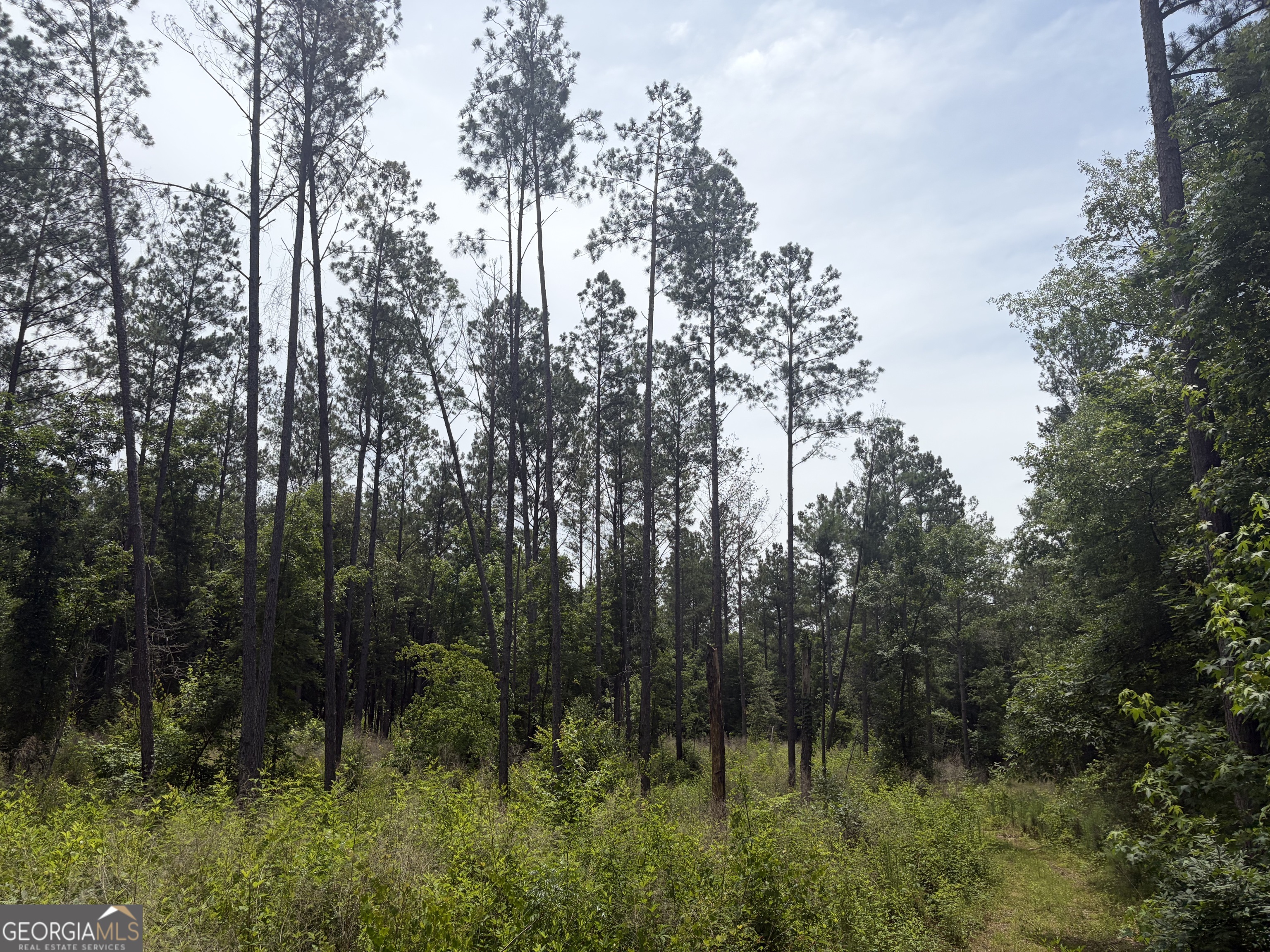 3 Sunhill Grange Road Sandersville, GA 31018 - Photo 7 of 11