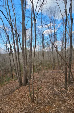 $139,900 | Lot 10-12 Easome Road, Hurt, VA 24563