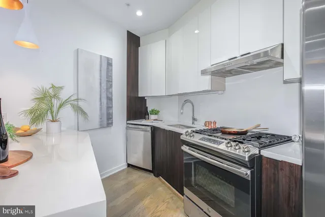 a kitchen with a sink a refrigerator and a potted plant