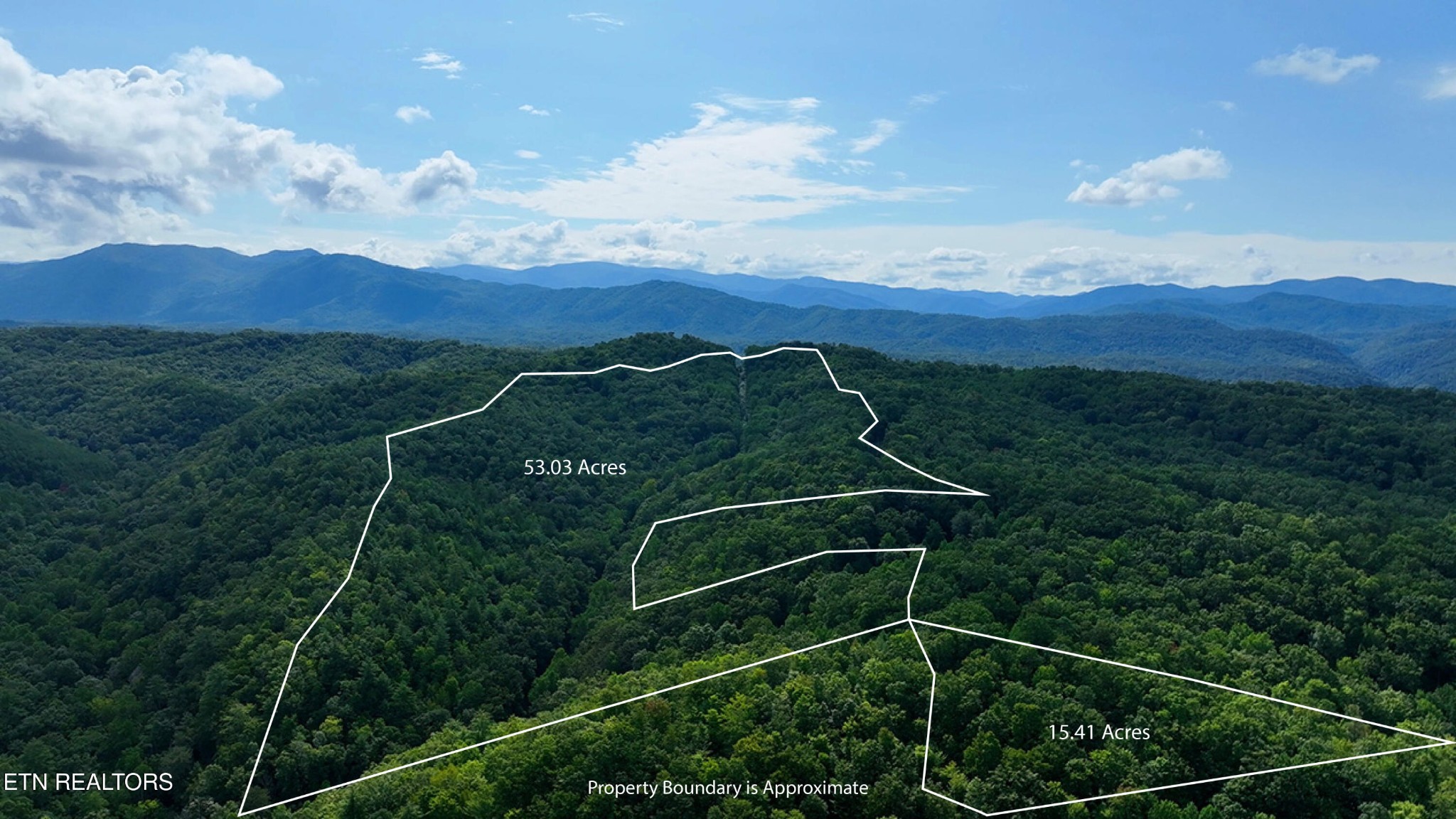 250 Seng Garden Road Tellico Plains, TN 37385 - Photo 1 of 15